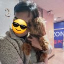 멍품유치원 이미지