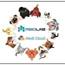 메디-엠 이미지