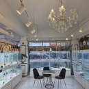 도그마루 강아지 고양이 양산화명점 이미지