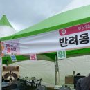 위드펫직업전문학원 네이버블로그