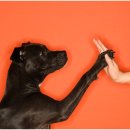 신천동물병원 이미지