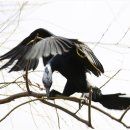 백화낚시터 이미지