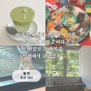 (주)디피에푸서비스코리아 | 지옥찍고 보통일상 사는 중 👼🏻 | 마음에 자유가 없으면 삶도 예술도 다 눈에 안들어와 | 취업면접, 취준...