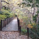 마전삼밭공원 이미지