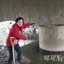 박의정 이미지