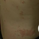 다은환경 이미지