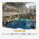 비발디파크오션월드 | 소노벨 비발디파크에서 오션월드 후기!✨3월 실내 파도풀 &amp; 구명조끼 반값 렌탈 꿀팁
