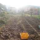 약대농장 이미지