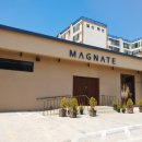 매그네이트 이미지