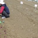 두화농장 이미지