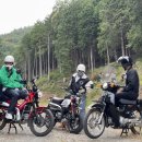 김군 게러지 이미지