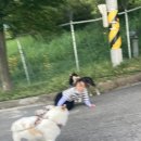털친구 네이버블로그
