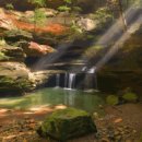 신세계무도장 이미지