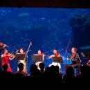 서대문구 서대문문화회관 대극장 이미지