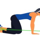 애플힙 짐 이미지