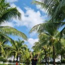 라켓리트리트 | 푸꾸옥 베스트웨스턴 풀빌라 2베드룸 객실 수영장 후기