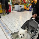 K1노래연습장 이미지