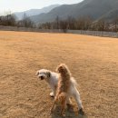 기북시장 이미지