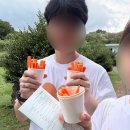 주신목장 | [제주 애월] 제주동물원 알파카 양 토끼 염소 | 도치돌알파카목장 솔직 후기