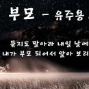 부모-유주용 이미지