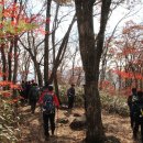 지리산 뱀사골, 피아골 단풍시리즈 및 어제 많은 비로 인한 가을폭포(2012. 10. 28.) 이미지