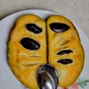 포포씨앗 나눔 이미지