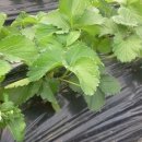 산옥농장 이미지