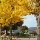 조령분교 이미지