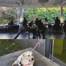 왕생로 40번길 이미지