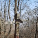 150033 | ^ 예봉산~예빈산/ 2018.03.25.일/ 1813