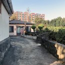 선인장여관 이미지