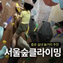 서울숲 방문자센터(지하) 화장실 | [종로놀거리] 액티비티한 종로 데이트 "서울숲클라이밍"