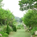 부곡허브농원 아로마빌리지 이미지