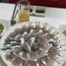 연화추어탕 | [통영] 연화고등어와전갱이, 여행 중 가장 만족스러웠던 고등어회 맛집