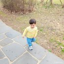 개나리어린이집 | 3살 남아 어린이집등원룩 추천 모이몰른 마일스트라이프상하