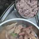 리틀본수원집 이미지