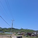 근이농원 | 요즘 유난히 지치셨다면｜산양삼 침향환 먹어본 후기