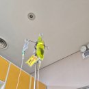 의료법인 진 의료재단 | 전북 고창병원 4인실 입원후기