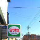 새마을담뱃잎