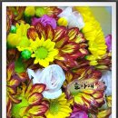 뜰아래플라워 이미지