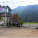 강여울 숲 이미지