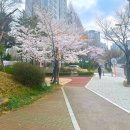 서울성모병원 | [유방암일기] 유방암 1기 3년차 정기검진 후기 | 서울성모병원 검사 과정 총정리