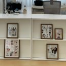 화이트허그 | 32주 둘째 만삭촬영, 자양동 리틀허그 스튜디오 후기｜또롱이를 기다리는 형아의 설렘 📷