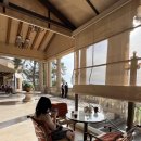 뉴포트비치 | LA 여행 추천｜뉴포트비치 펠리칸 힐 리조트 카페 &amp; 인생 포토스팟 후기