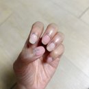 네일포롱 이미지