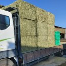 한중농장 이미지