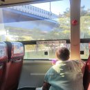 국민체육센터 앞 횡단보도 이미지