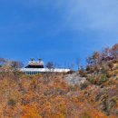 짚와이어체험장 이미지