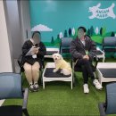 (주)애니언파크 이미지