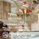 마카롱과의 달콤한 데이트 이미지